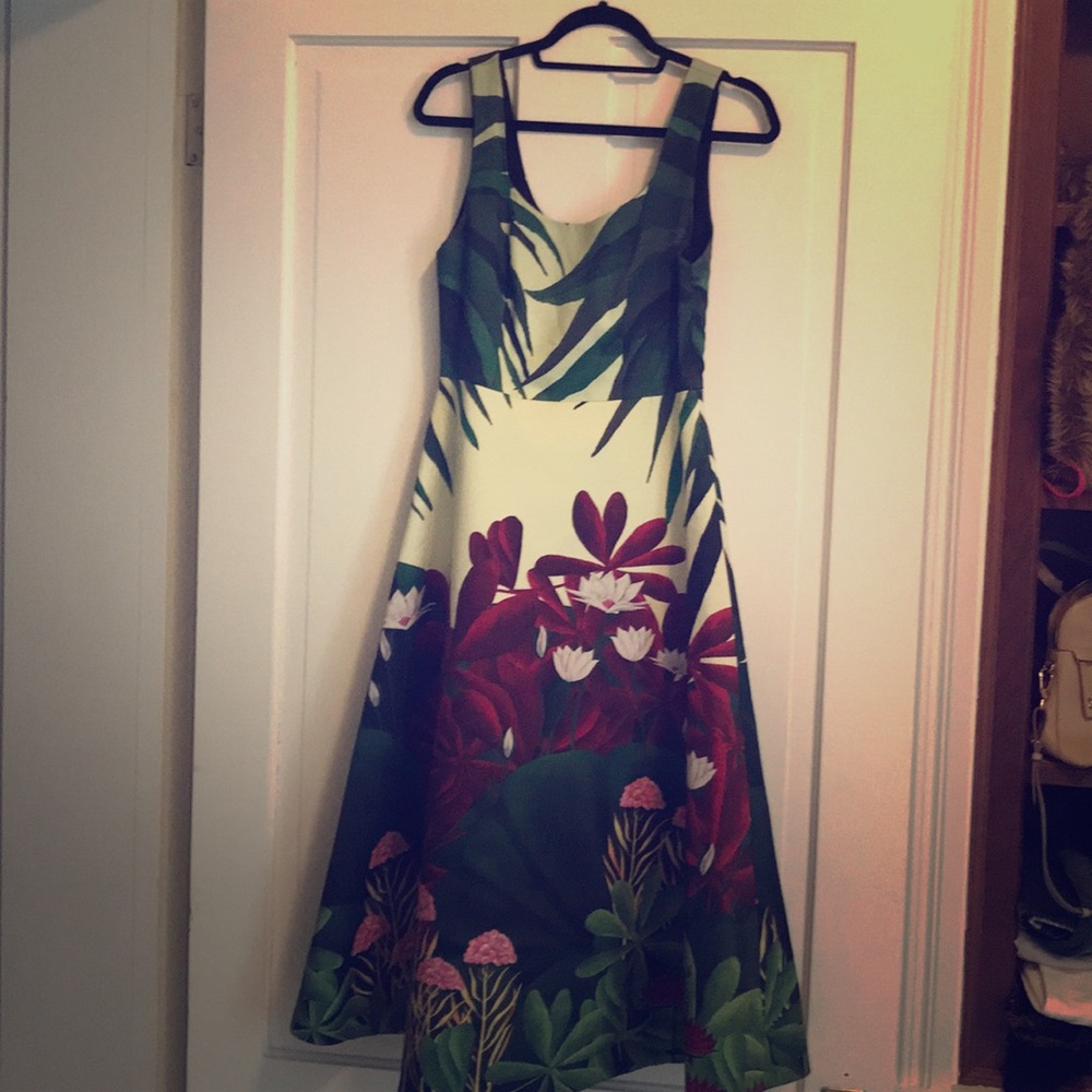 Alice and Olivia Dress